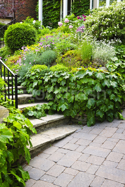 Natural stone garden stairs Stock photo © elenaphoto