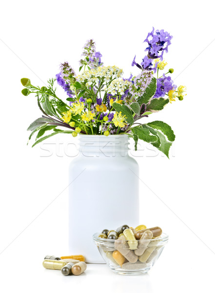 Herbal medicine and plants Stock photo © elenaphoto