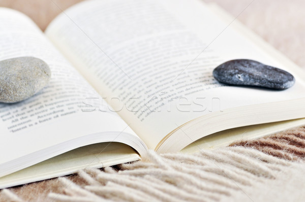 Relaxing reading Stock photo © elenaphoto