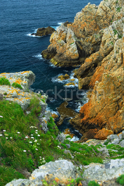 Atlantic coast in Brittany Stock photo © elenaphoto