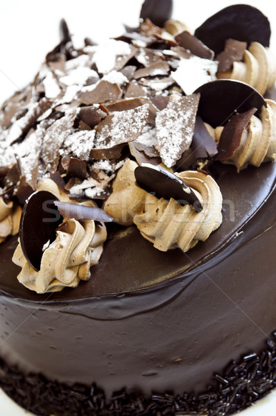 Chocolate cake Stock photo © elenaphoto