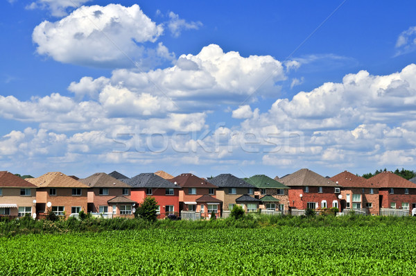 Környék házak csetepaté lakóövezeti külvárosi ház Stock fotó © elenaphoto