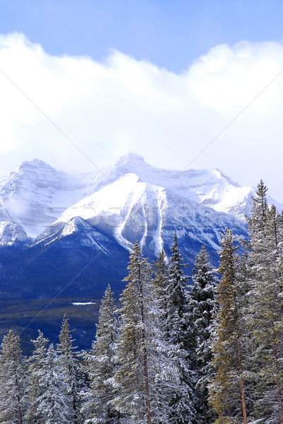 Winter mountains Stock photo © elenaphoto