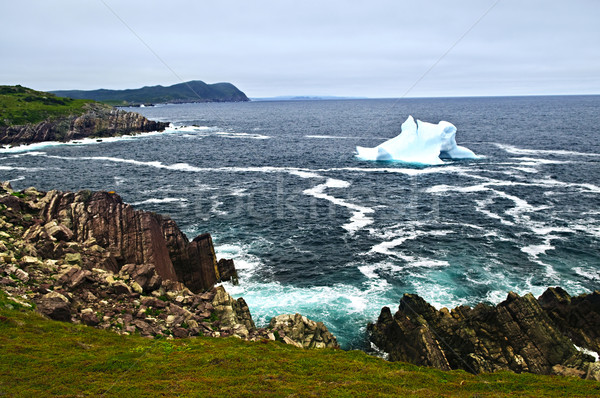 Melting iceberg Stock photo © elenaphoto