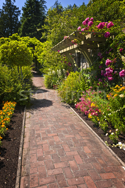 Flower garden with paved path Stock photo © elenaphoto