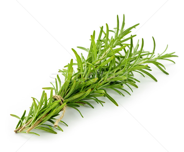 Rosemary sprigs Stock photo © elenaphoto