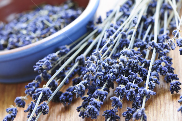 Dried lavender Stock photo © elenaphoto