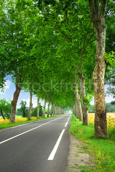 French country road Stock photo © elenaphoto