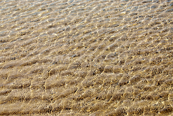 Surface de l'eau peu profond eau soleil océan vie [[stock_photo]] © elenaphoto