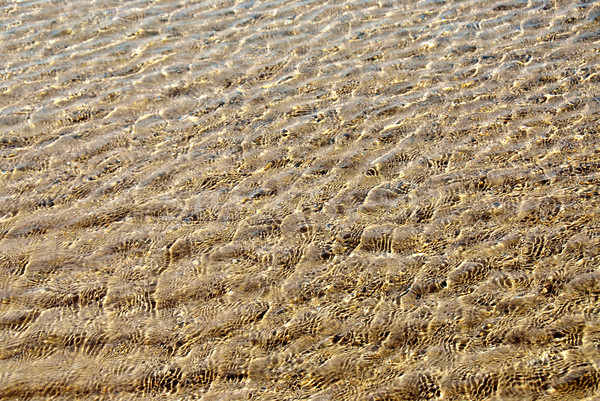 Superficie dell'acqua poco profondo acqua sole Ocean vita Foto d'archivio © elenaphoto