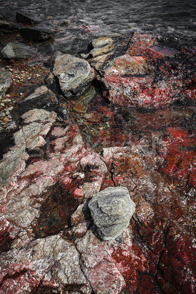 Georgian Bay rocks Stock photo © elenaphoto