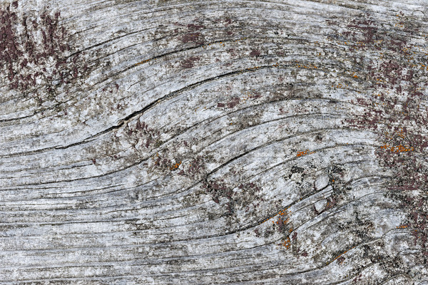 Old weathered wood background Stock photo © elenaphoto