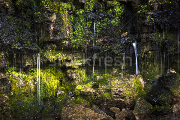 Pequeño cascada musgo cubierto rocas sol Foto stock © elenaphoto