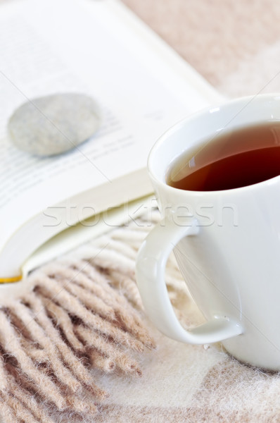 Relaxing reading with tea Stock photo © elenaphoto