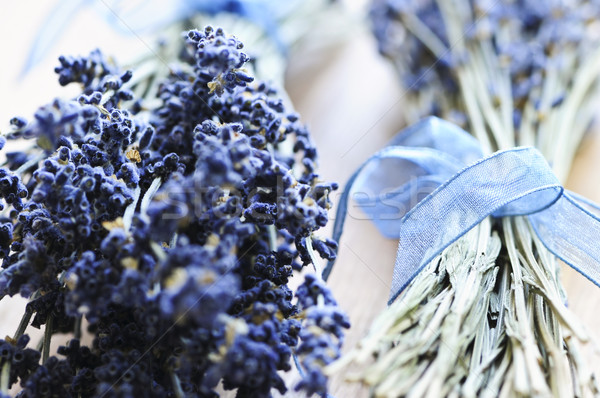 Essiccati lavanda erbe fiore fiori Foto d'archivio © elenaphoto