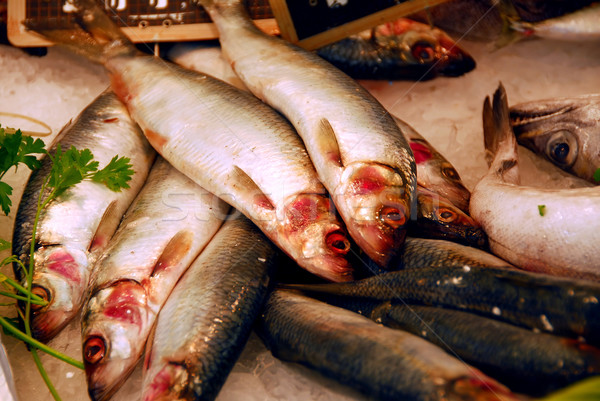 Whole fish Stock photo © elenaphoto