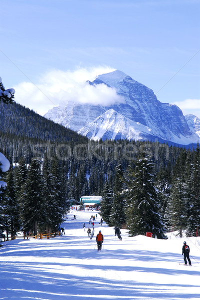 Skiing in mountains Stock photo © elenaphoto