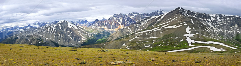 Panorama of Rocky Mountains in Jasper National Park, Canada Stock photo © elenaphoto