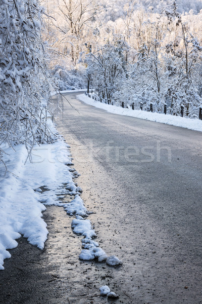 Iarnă rutier gheaţă furtună gheata pădure Imagine de stoc © elenaphoto