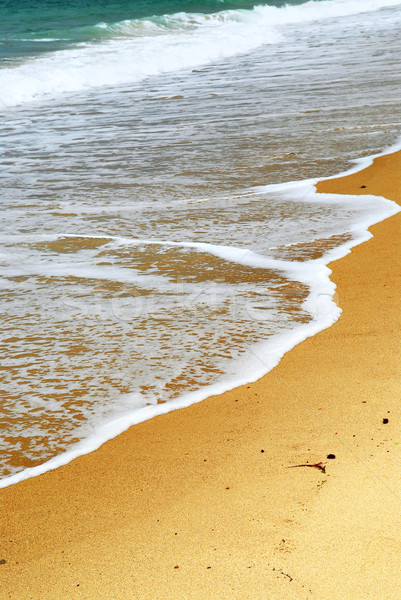 Sandy ocean beach Stock photo © elenaphoto