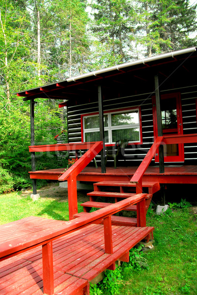 Log cabin woods Stock photo © elenaphoto