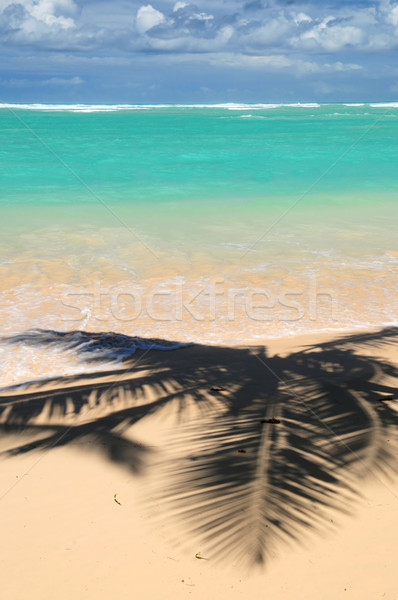 Tropical beach Stock photo © elenaphoto