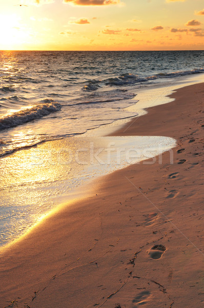 Stock fotó: Lábnyomok · homokos · tengerpart · napfelkelte · homokos · trópusi · tengerpart · naplemente