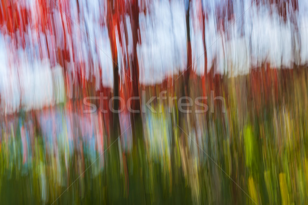 Alberi lago abstract panorama rosso autunno Foto d'archivio © elenaphoto
