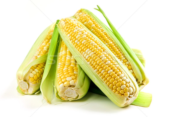 Kukorica fülek fehér friss izolált háttér Stock fotó © elenaphoto