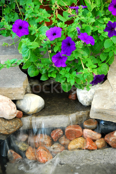 Rock Brunnen japanisch Garten Blume Blumen Stock foto © elenaphoto