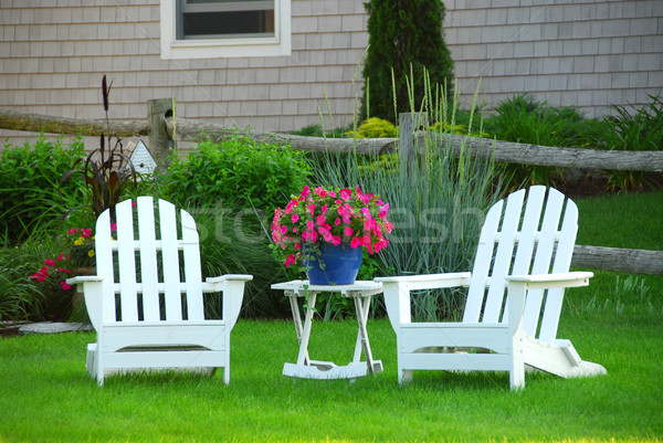 Two lawn chairs Stock photo © elenaphoto