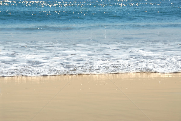 Ocean shore Stock photo © elenaphoto