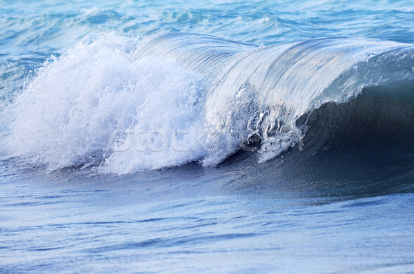 Wave in stormy ocean Stock photo © elenaphoto
