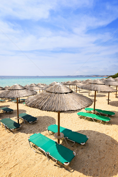 Beach umbrellas on sandy shore Stock photo © elenaphoto