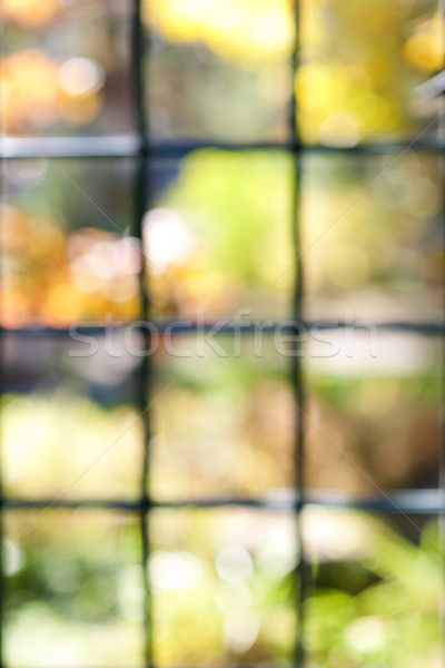 Garden view through window frame Stock photo © elenaphoto