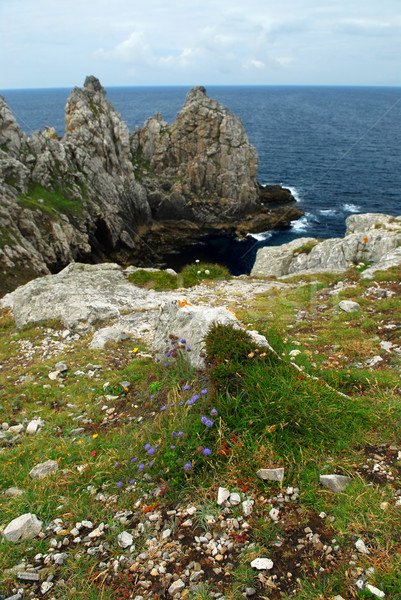 Atlantic coast in Brittany Stock photo © elenaphoto