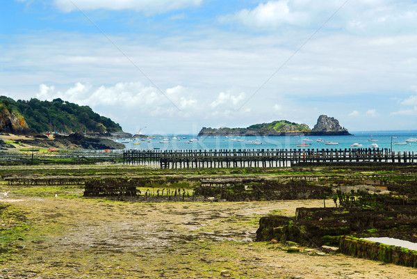 Oyster beds in Cancale, France Stock photo © elenaphoto