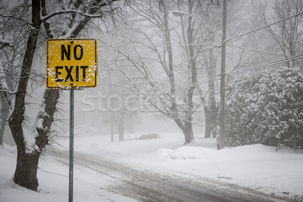 Winter road during snowfall Stock photo © elenaphoto