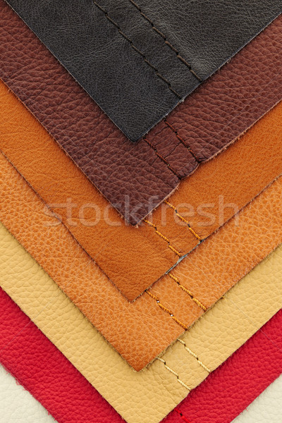 Bőr kárpit minták természetes különböző színek Stock fotó © elenaphoto
