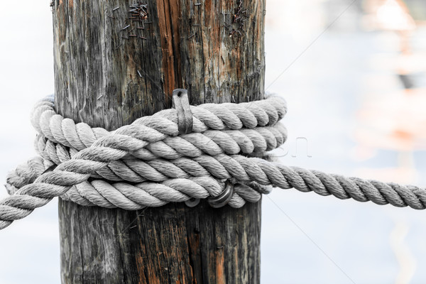 Rope fence fragment Stock photo © elenaphoto