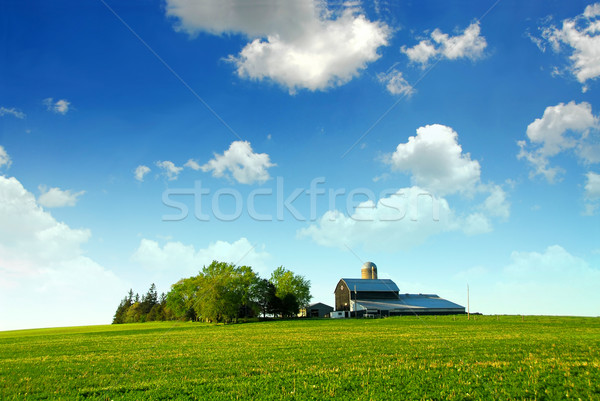 Farmhouse and barn Stock photo © elenaphoto