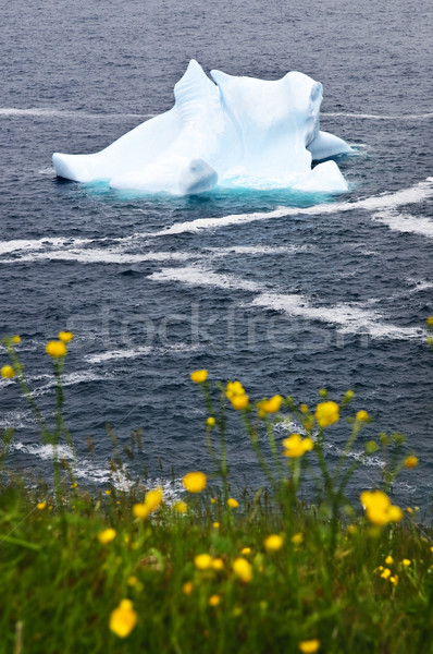 Melting iceberg Stock photo © elenaphoto