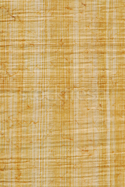 Papirusz természetes terv háttér történelem antik Stock fotó © elenaphoto