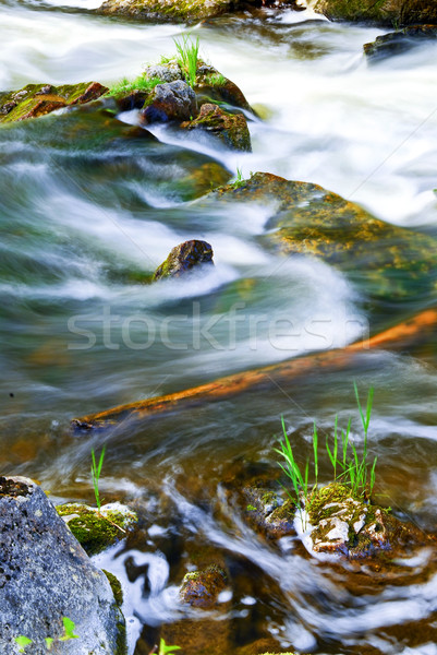 River through woods Stock photo © elenaphoto