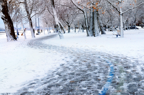 冬 公園 歩道 カバー 雪 ストックフォト © elenaphoto