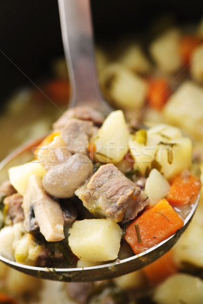 Stock photo: Beef stew in serving spoon