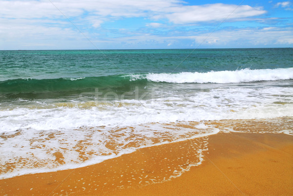 Sandy ocean beach Stock photo © elenaphoto