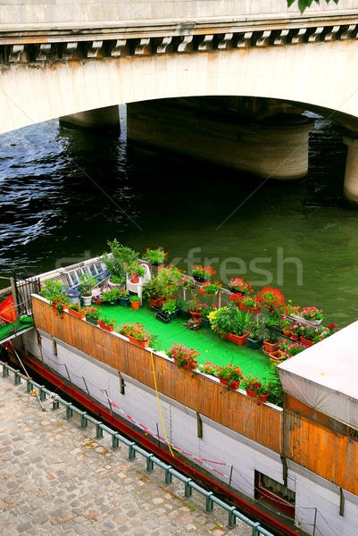 Houseboat in Paris Stock photo © elenaphoto