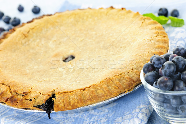 Blueberry pie Stock photo © elenaphoto