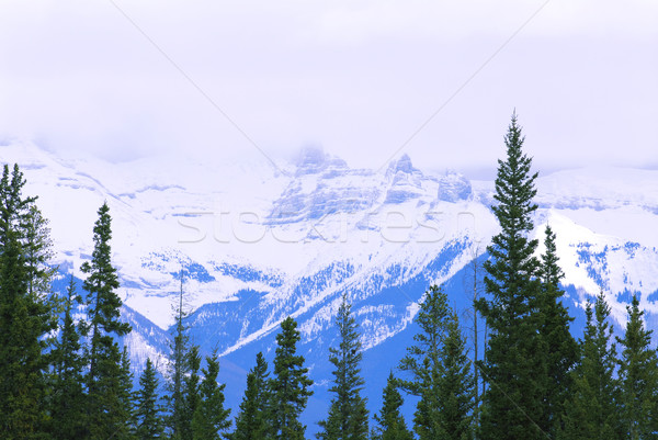 Mountain landscape Stock photo © elenaphoto